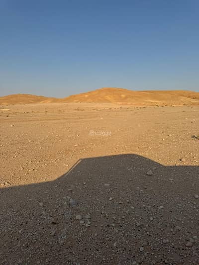 ارض سكنية  للبيع في رويغب - أرض للبيع في الرويغيب