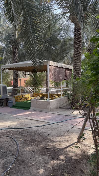 10 Bedroom Farm for Sale in Al Ahsa - Farm in Al-Ahsa Resort and Resting Places