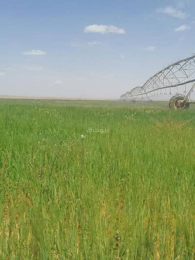Agriculture Plot for Sale in Aljbeawy -Jrysh - Agricultural project for sale in Tayma