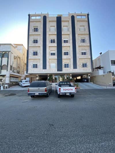 شقة 3 غرف نوم للايجار في شمال جدة، جدة - شقة استوديو للإيجار في الربوة، جدة