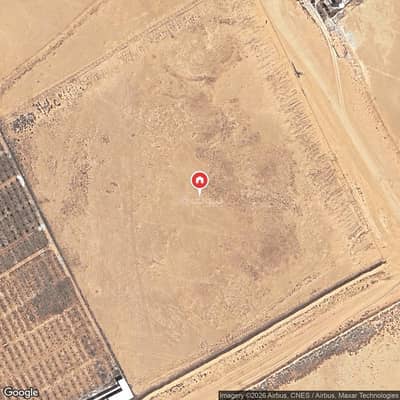 2 Bedroom Farm for Rent in Al Farouthi Farms, Al Farouthi - Farm For Rent in Al Farouthi Farms, Al Farouthi