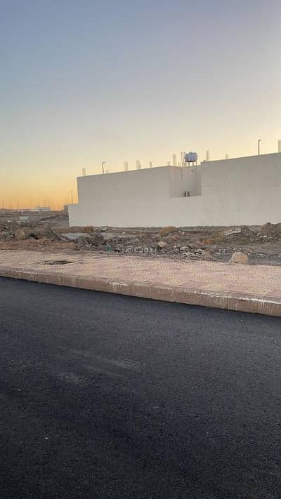 ارض تجارية  للبيع في نبلاء، المدينة المنورة - للبيع في نابلة، المدينة المنورة