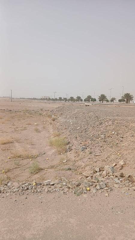 Commercial land plot Commercial land plot