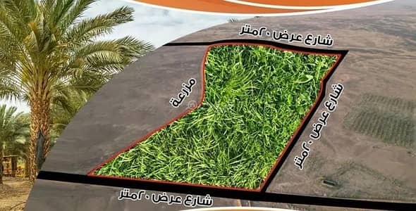 ارض سكنية  للبيع في البدائع منطقة القصيم - أرض للبيع في البدائع، منطقة القصيم