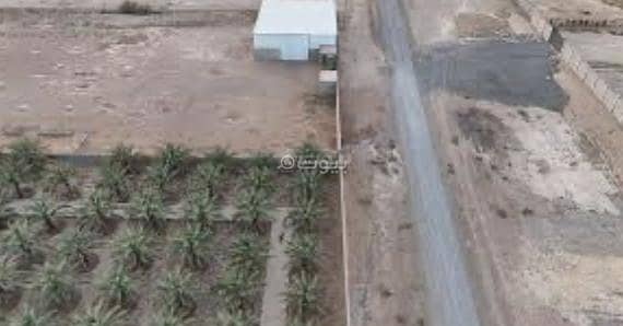Farm for Sale in Daqalah - Farm For Sale in Daqalah