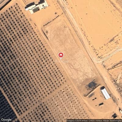 مزرعة  للبيع في البصر منطقة القصيم - مزرعة للبيع في البصر منطقة القصيم