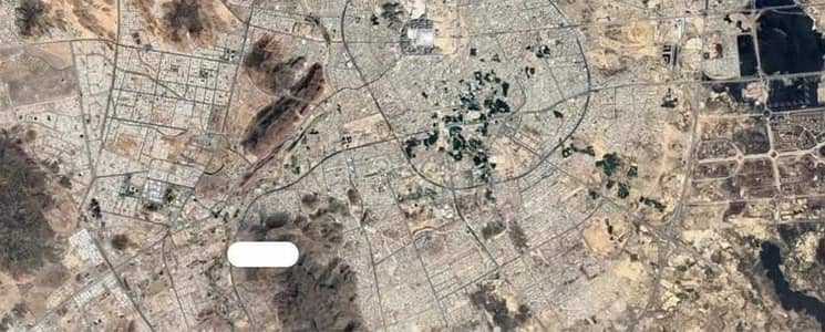 ارض سكنية  للبيع في الشهباء، المدينة المنورة - أرض سكنية للبيع في الشهباء، المدينة المنورة