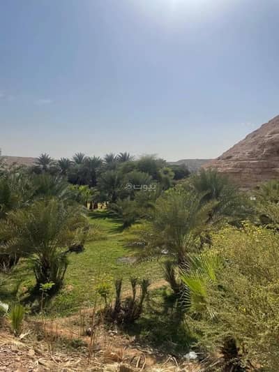 2 Bedroom Farm for Sale in South Riyadh, Riyadh - Farm For Sale in Uraidh, Riyadh