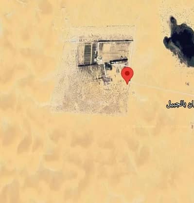 مزرعة  للبيع في الجبيل - عقار للبيع