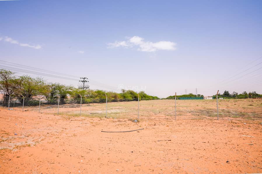 Farm for sale in Almushaeiluh 2 Farm for sale in Almushaeiluh 2
