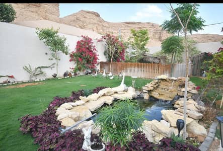 استراحة 3 غرف نوم للايجار في الرياض - إستراحة للإيجار اليومي في الرياض