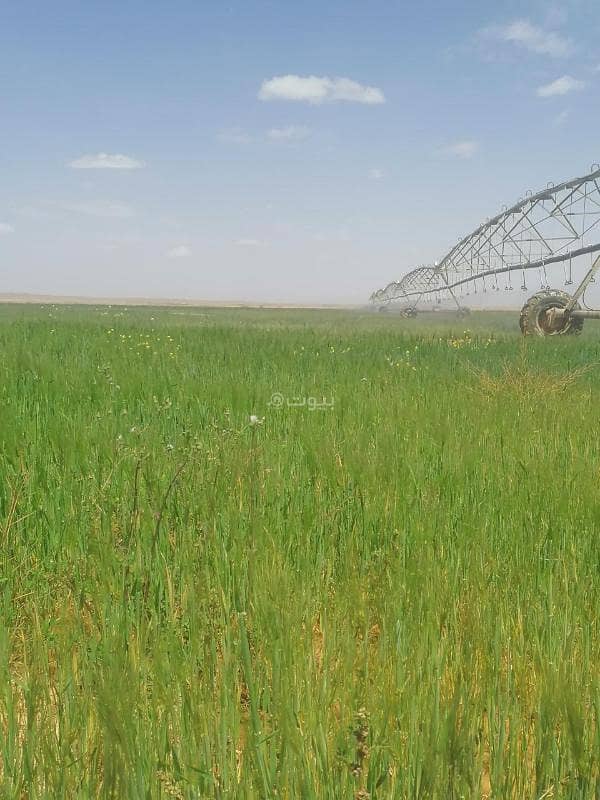 Agricultural project for sale in Tayma Agricultural project for sale in Tayma