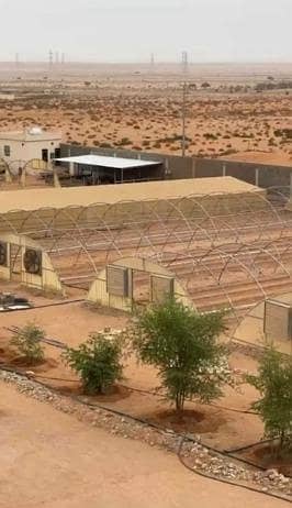 1 Bedroom Farm for Sale in Al Allawah Farms, Marat Riyadh Region - Farm For Sale in Al Allawah, Marat Riyadh Region