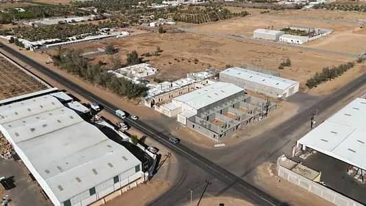 ارض سكنية  للبيع في الفنار، تبوك - أرض للبيع في حي الفنار, مدينة تبوك, منطقة تبوك