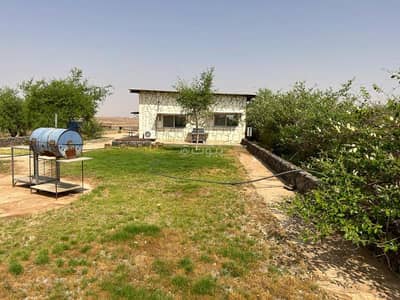 مزرعة 3 غرف نوم للبيع في الجلة 2 - للبيع مزرعة بالجله تبراك