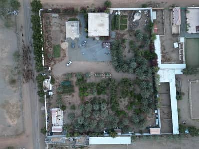 مزرعة 4 غرف نوم للايجار في المحسنيه - مزرعة مميزة للإيجار بمساحة 10,000 م² مع فيلا وأشجار مثمرة – رقم العرض R562