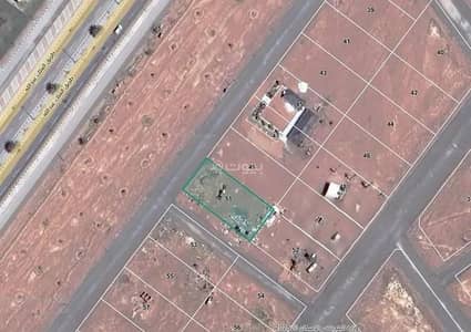 ارض سكنية  للبيع في الشنان - أرض للبيع في شارع شارع , حي السلام, مدينة الشنان, منطقة حائل