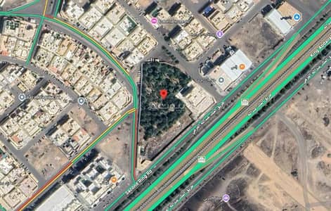 مزرعة 8 غرف نوم للايجار في مهزور، المدينة المنورة - مزرعة للإيجار في شارع الملك عبدالله بن عبدالعزيز, حي وادي مهزور, مدينة المدينة المنورة,