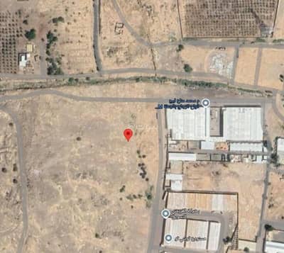 Agriculture Plot for Rent in Al Sadiqiyyah, Madina - Land for rent on Abdul Qahir Al-Tamimi Street, Al-Sadiquia neighborhood, Medina city, Medina region