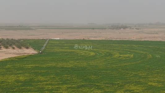 مزرعة  للبيع في مزارع الوبريات، حائل - مزرعة للبيع في حائل