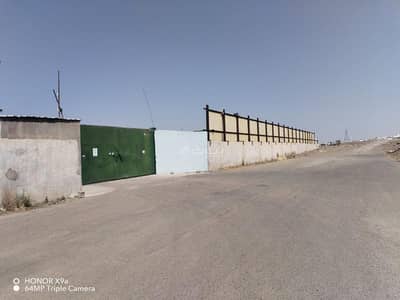 ارض تجارية  للايجار في ذو الحليفة، المدينة المنورة - أرض للإيجار في شارع سعيد بن ابي سعيد الارطائي, حي ذو الحليفة, مدينة المدينة المنورة