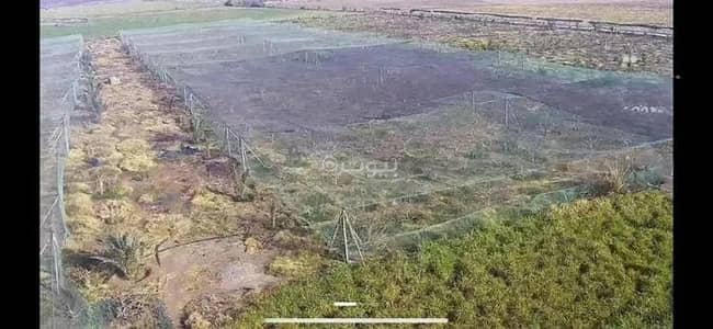 مزرعة 3 غرف نوم للبيع في الخفيق - مزرعة للبيع في الخافق