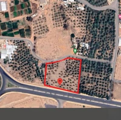 ارض سكنية  للايجار في العليا، عنيزة - أرض للإيجار في شارع الملك سعود, حي العليا, مدينة عنيزة, منطقة القصيم