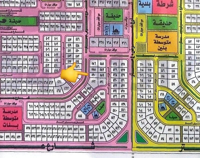 Cat rescue land in Khobar, Al Kowthar neighborhood