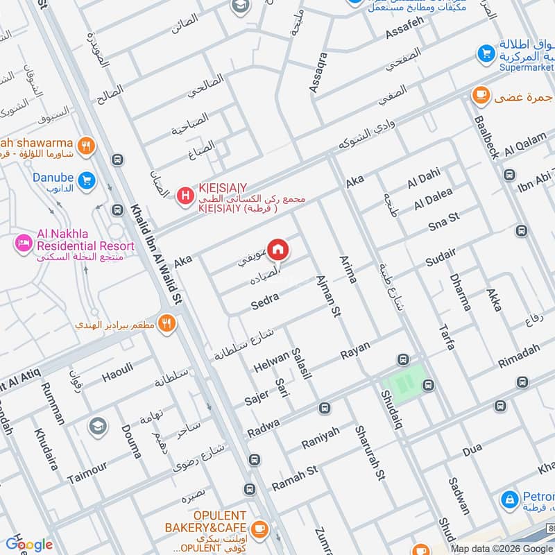 Map image