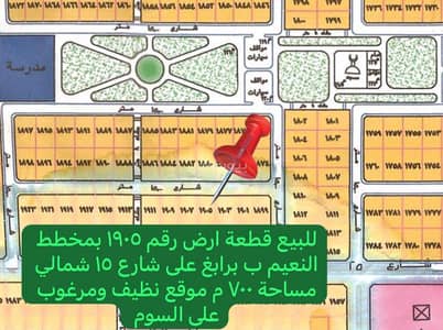 ارض سكنية  للبيع في النعيم، رابغ - أرض للبيع في النعيم، رابغ