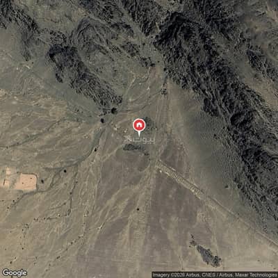 ارض سكنية  للبيع في سد الغابة، المدينة المنورة - أرض سكنية للبيع في ساد الغبة، المدينة المنورة