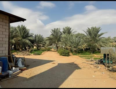 2 Bedroom Farm for Sale in Riyadh - Farm For Sale in Riyadh
