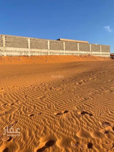 ارض زراعية  للبيع في هجره الذيبيه وخضراء - ارض زاوية مميزة للبيع. - فرصه استثمارية