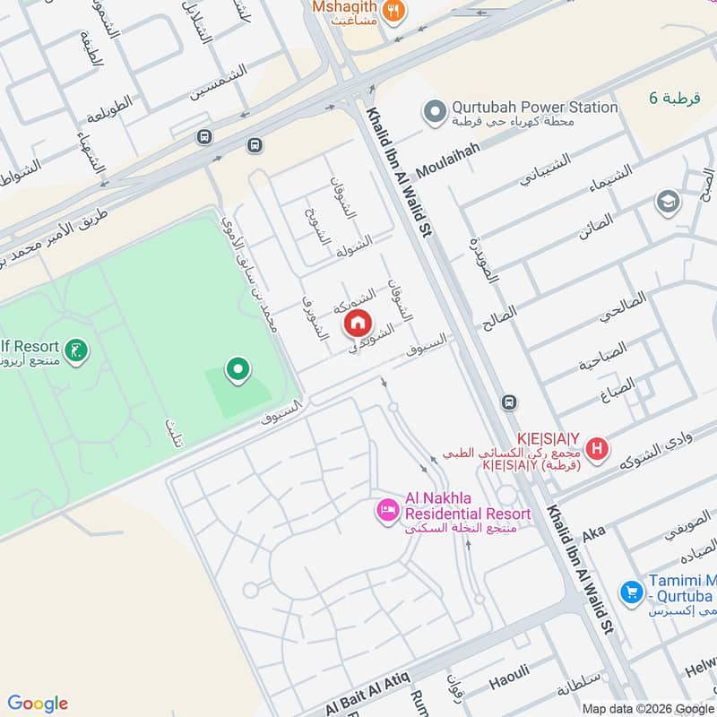 Map image