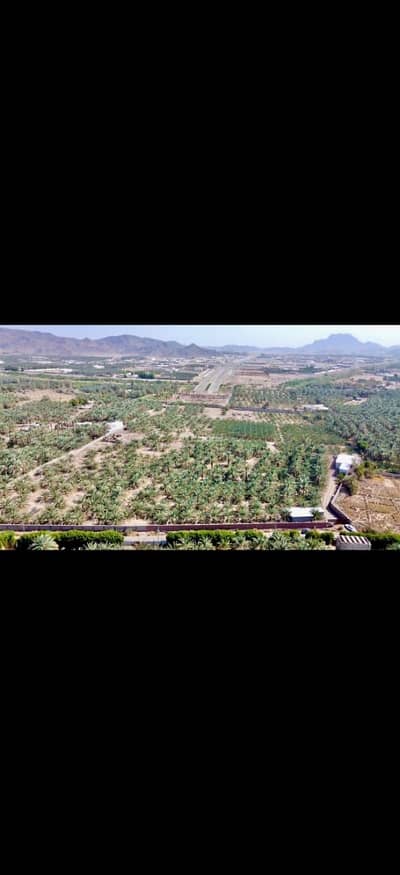 مزرعة 1 غرفة نوم للبيع في الزهرة، المدينة المنورة - مزرعة للبيع في حي الزهرة-المدينة المنورة