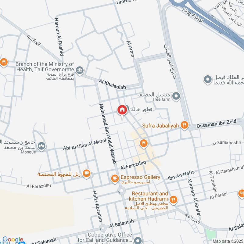 Map image