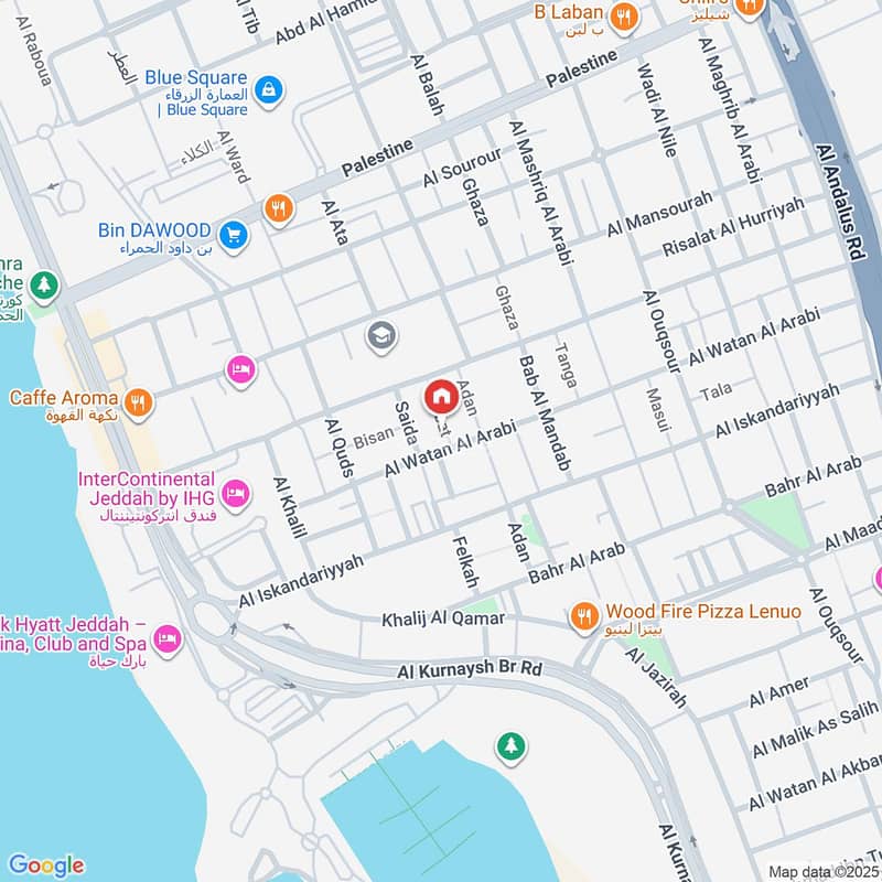 Map image