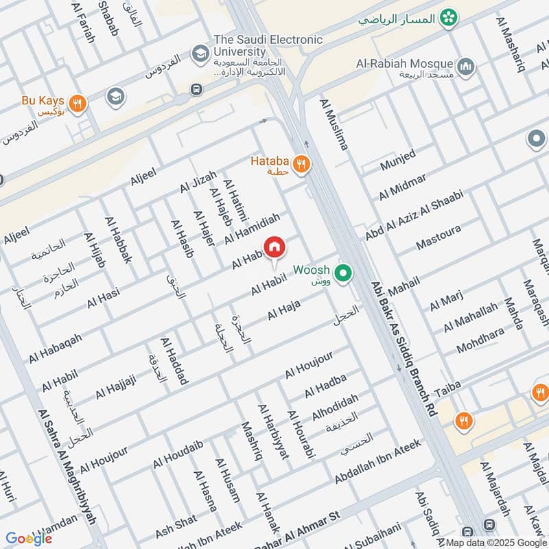 Map image