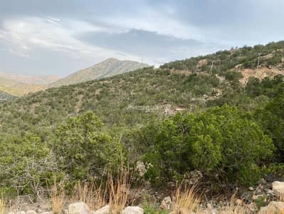 Residential Land for Sale in Ash Shifa, Taif - Land For Sale in Ash Shifa, Taif Residential Land for Sale in Ash Shifa, Taif - Land For Sale in Ash Shifa, Taif
