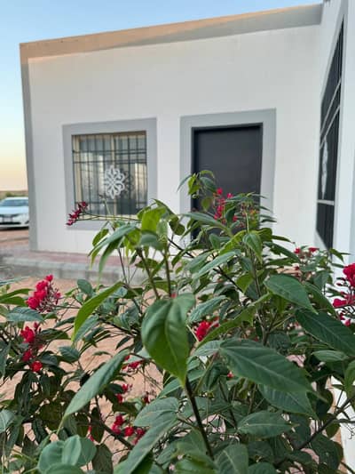 8 Bedroom Rest House for Sale in Alharir - For sale, a rest house in the Hail area. 8 Bedroom Rest House for Sale in Alharir - For sale, a rest house in the Hail area.