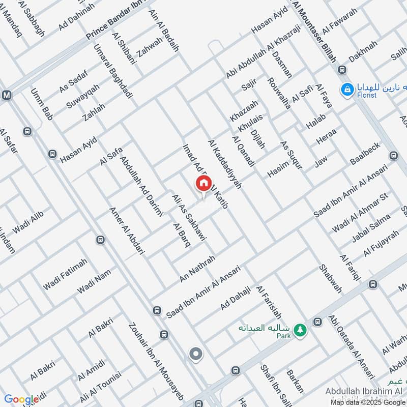 Map image