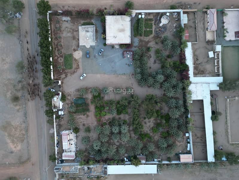 Exceptional Farm for Rent – 10,000 m² with Villa and Fruitful Trees – Listing No. R562 Exceptional Farm for Rent – 10,000 m² with Villa and Fruitful Trees – Listing No. R562