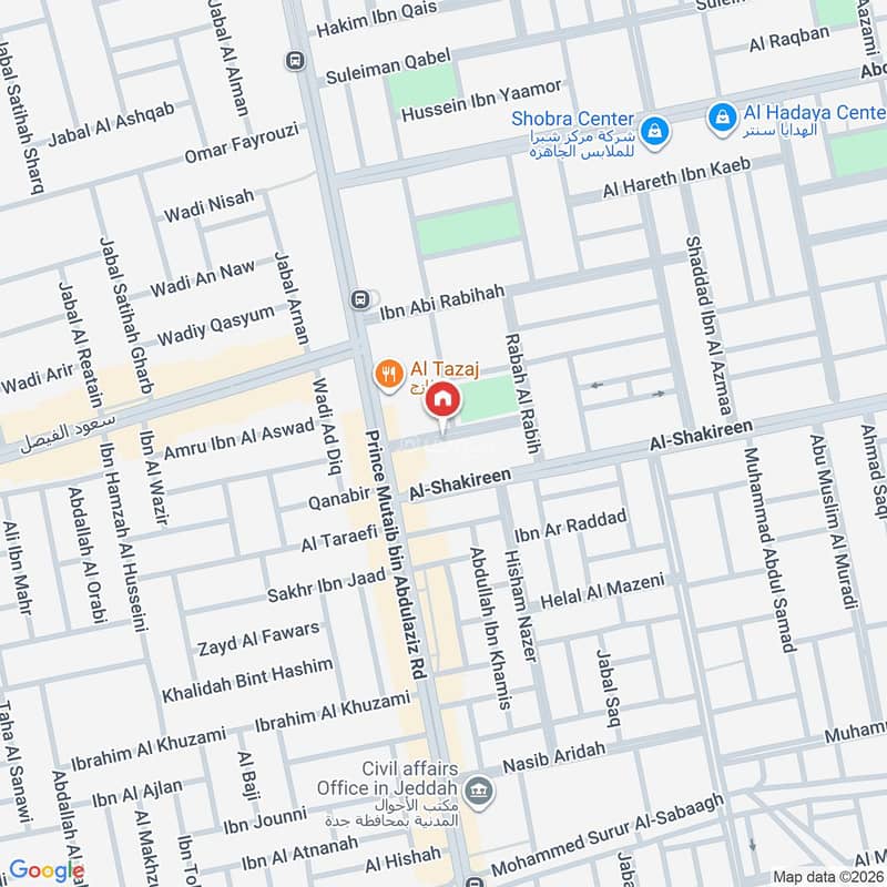 Map image