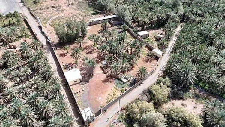 Farm For Sale in As Suwayfilah Al Jadid, Hail Farm For Sale in As Suwayfilah Al Jadid, Hail