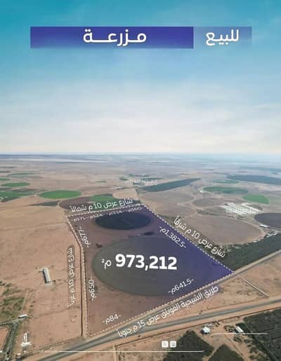 Farm for Sale in Alfwylq Farms, Alfwylq Al Qassim Region - Farm For Sale in Alfwylq Farms, Al Qassim Region