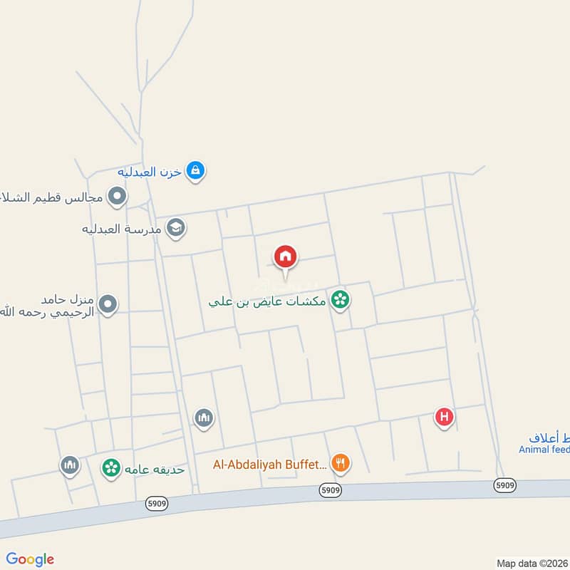 Map image