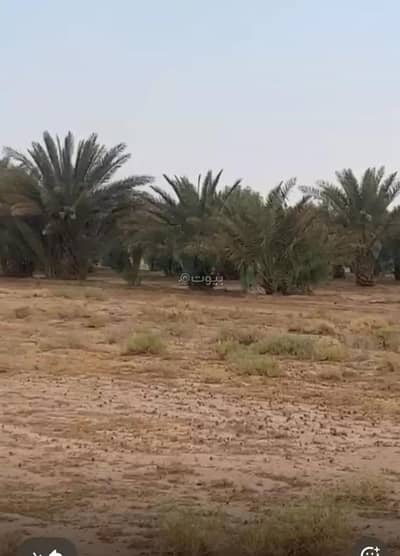 3 Bedroom Farm for Rent in Al-Fuwayliq Riyadh Region - Farm For Rent in Al-Fuwayliq, Riyadh Region