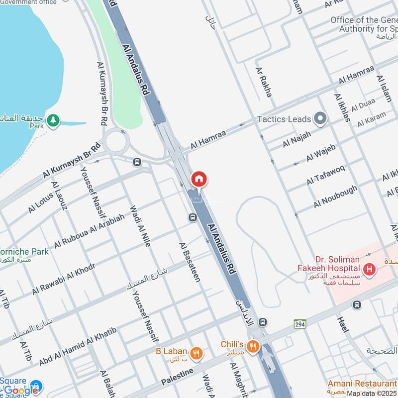 Map image