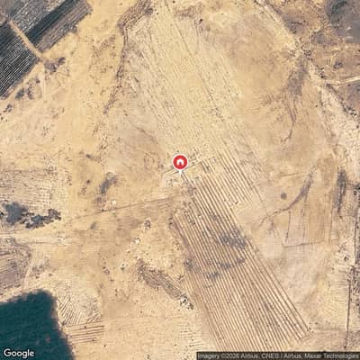 Farm for Rent in Masharifuh 6 - Farm For Rent in Masharifuh 6