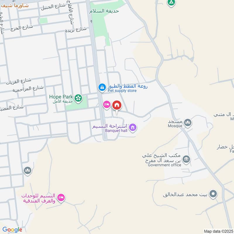 Map image